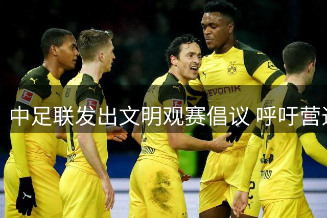 中足联发出文明观赛倡议 呼吁营造良好赛场环境