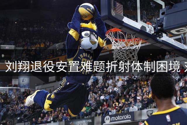 刘翔退役安置难题折射体制困境 对比姚明王治郅显差异