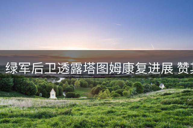 绿军后卫透露塔图姆康复进展 赞其伤愈表现令人期待